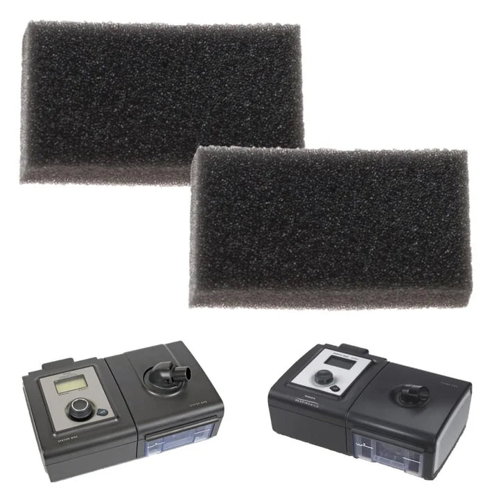 FILTERS REMSTAR 2 PER PACK